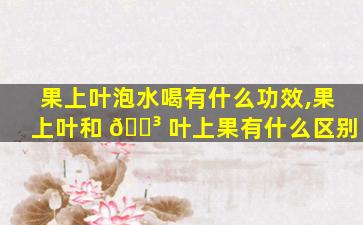 果上叶泡水喝有什么功效,果上叶和 🌳 叶上果有什么区别